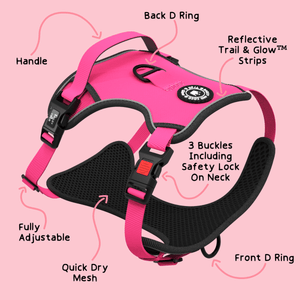 Trail & Glow® Dog Harness - The Hot Pink One - Bailey and Coco (UK)