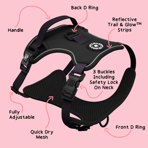 Trail & Glow® Dog Harness - The Jet Black One - Bailey and Coco (UK)