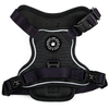 Trail & Glow® Dog Harness - The Jet Black One - Bailey and Coco (UK)