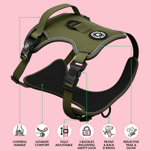 Trail & Glow® Dog Harness - The Khaki One - Bailey and Coco (UK)