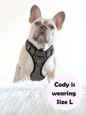 Trail & Glow® Dog Harness - The Khaki One - Bailey and Coco (UK)