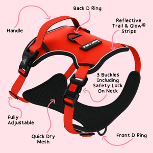 Trail & Glow® Dog Harness - The Red One - Bailey and Coco (UK)