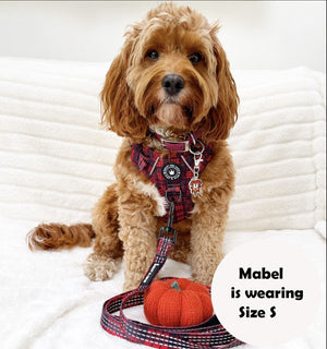 Trail & Glow® Dog Harness - The Red Tartan One - Bailey and Coco (UK)