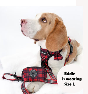 Trail & Glow® Dog Harness - The Red Tartan One - Bailey and Coco (UK)