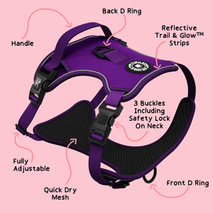 Trail & Glow® Dog Harness - The Royal Purple One - Bailey and Coco (UK)