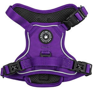 Trail & Glow® Dog Harness - The Royal Purple One - Bailey and Coco (UK)