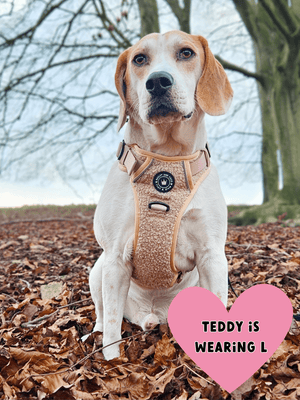 Trail & Glow® Dog Harness - Vanilla Teddy - Bailey and Coco (UK)