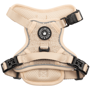 Trail & Glow® Dog Harness - Vanilla Teddy - Bailey and Coco (UK)