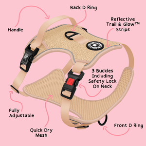 Trail & Glow® Dog Harness - Vanilla Teddy - Bailey and Coco (UK)