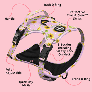 Trail & Glow® Dog Harness - Walking on Sunshine - Bailey and Coco (UK)