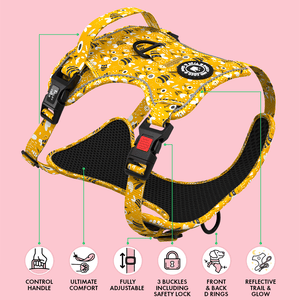 Trail & Glow® Dog Harness - Wanna - Bee - Bailey and Coco (UK)