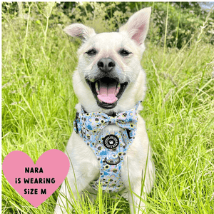 Trail & Glow® Dog Harness - Wanna - Bee II - Bailey and Coco (UK)