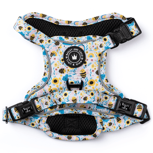 Trail & Glow® Dog Harness - Wanna - Bee II - Bailey and Coco (UK)