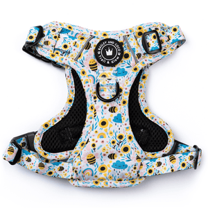 Trail & Glow® Dog Harness - Wanna - Bee II - Bailey and Coco (UK)