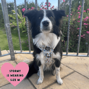 Trail & Glow® Dog Harness - Wanna - Bee II - Bailey and Coco (UK)