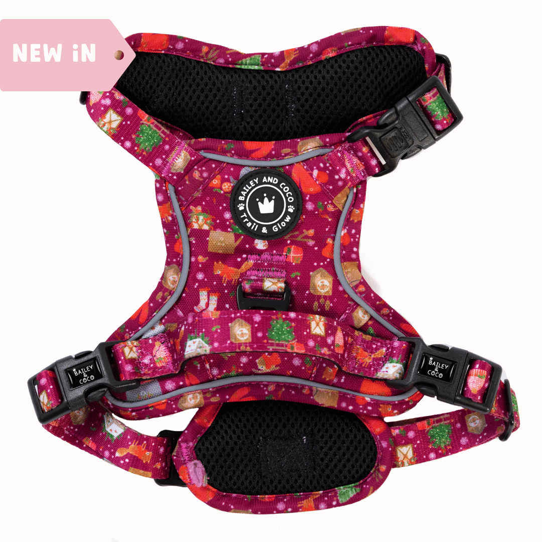 Trail & Glow® Dog Harness - Winter Wonderland - Bailey and Coco (UK)