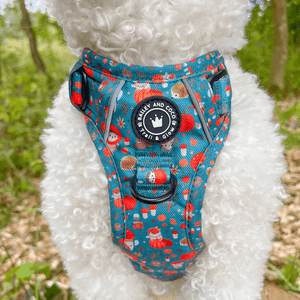 Trail & Glow® Dog Harness - Woodland Magic - Bailey and Coco (UK)