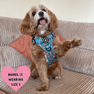 Trail & Glow® Dog Harness - Woodland Magic - Bailey and Coco (UK)