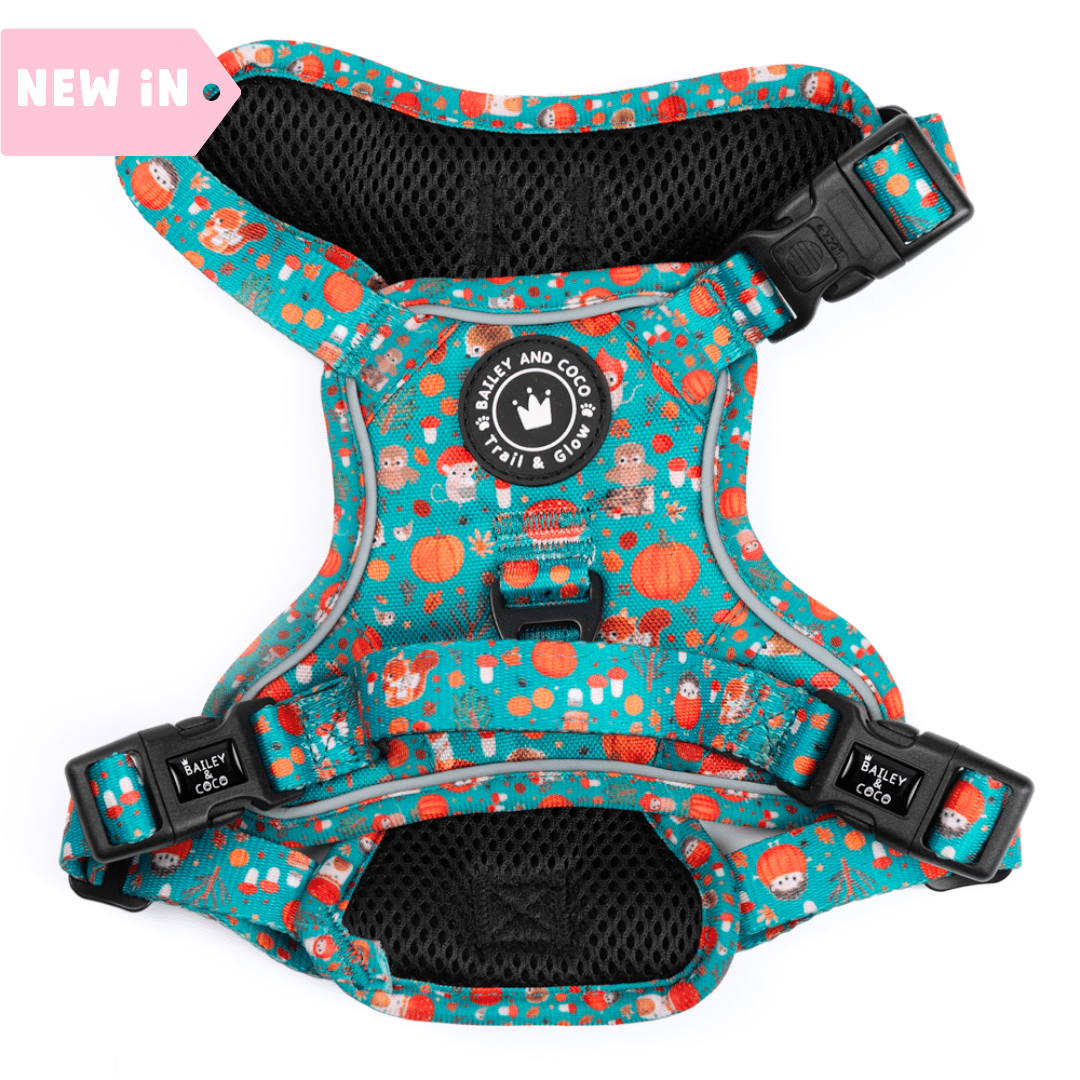 Trail & Glow® Dog Harness - Woodland Magic - Bailey and Coco (UK)