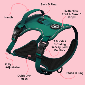 Trail & Glow® Emerald Green Dog Harness - Bailey and Coco (UK)