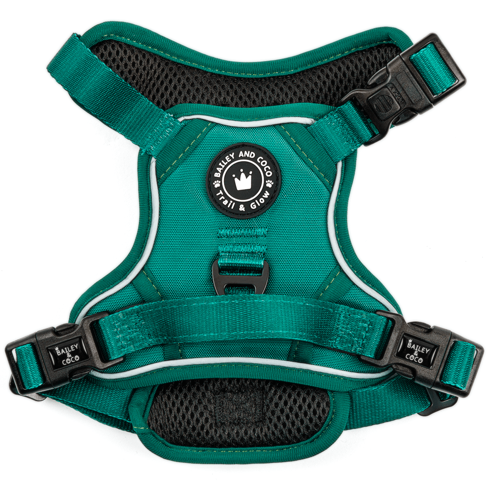 Trail & Glow® Emerald Green Dog Harness - Bailey and Coco (UK)