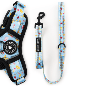 Trail & Glow® Fabric Dog Lead 5ft - Feels Like Summer - Bailey and Coco (UK)