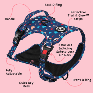 Trail & Glow® Harness Bundle Set - All You Need Is Love - Bailey and Coco (UK)