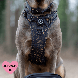 Trail & Glow® Harness Bundle Set - Celestial - Bailey and Coco (UK)