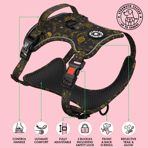 Trail & Glow® Harness Bundle Set - Celestial - Bailey and Coco (UK)