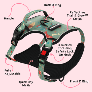 Trail & Glow® Harness Bundle Set - Dino Party - Bailey and Coco (UK)