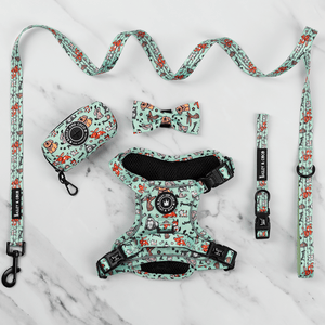 Trail & Glow® Harness Bundle Set - Dog Party - Bailey and Coco (UK)