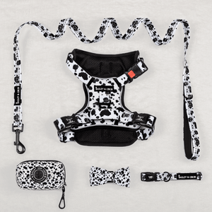 Trail & Glow® Harness Bundle Set - On The Dot - Bailey and Coco (UK)