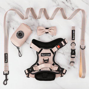 Trail & Glow® Harness Bundle Set - The Champagne One - Bailey and Coco (UK)