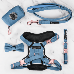 Trail & Glow® Harness Bundle Set - The Denim One - Bailey and Coco (UK)