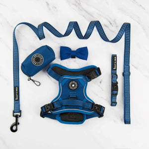 Trail & Glow® Harness Bundle Set - The Ink Blue One - Bailey and Coco (UK)