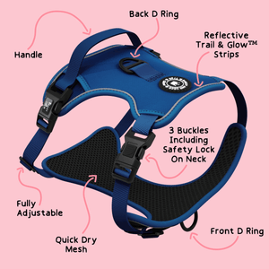 Trail & Glow® Harness Bundle Set - The Ink Blue One - Bailey and Coco (UK)