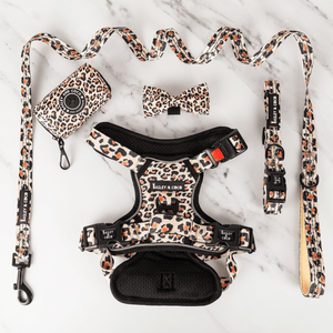 Trail & Glow® Harness Bundle Set - Wild One - Bailey and Coco (UK)