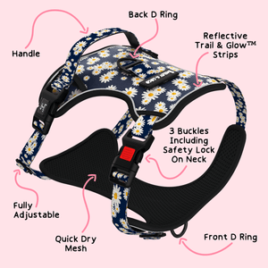 Trail & Glow® Harness – Loves Me, Loves Me Not Daisy - Bailey and Coco (UK)