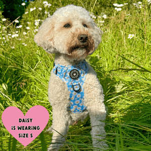 Trail & Glow® Harness – Loves me more - Bailey and Coco (UK)