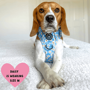 Trail & Glow® Harness – Loves me more - Bailey and Coco (UK)