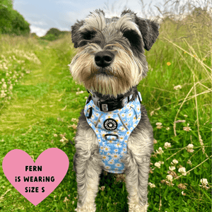 Trail & Glow® Harness – Loves me more - Bailey and Coco (UK)