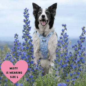 Trail & Glow® Harness – Loves me more - Bailey and Coco (UK)