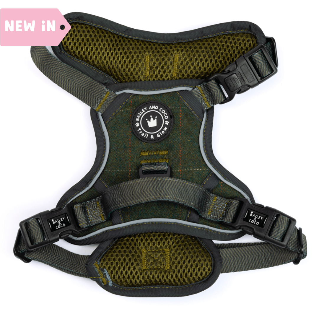 Trail & Glow Tweed Dog Harness - Forest Tweed - Bailey and Coco (UK)