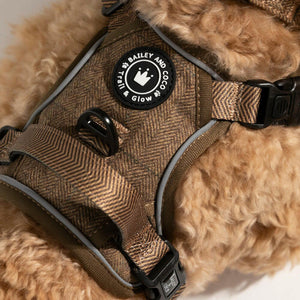 Trail & Glow Tweed Dog Harness - Oxford Tweed - Bailey and Coco (UK)