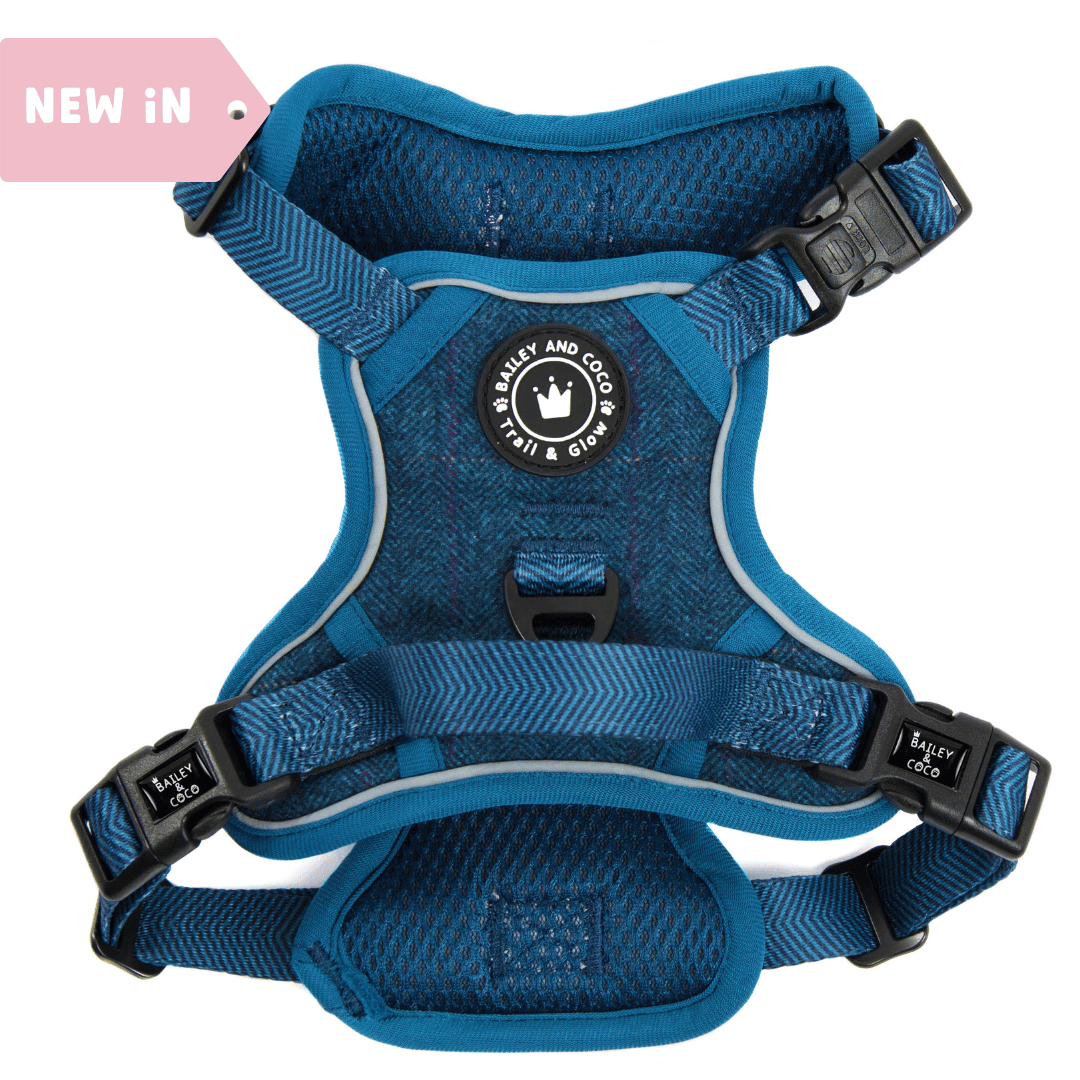 Trail & Glow Tweed Dog Harness - Sapphire Tweed - Bailey and Coco (UK)