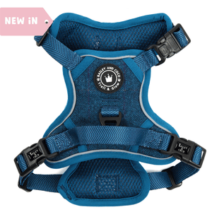 Trail & Glow Tweed Dog Harness - Sapphire Tweed - Bailey and Coco (UK)