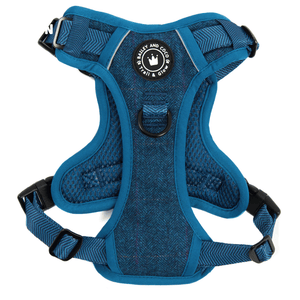 Trail & Glow Tweed Dog Harness - Sapphire Tweed - Bailey and Coco (UK)