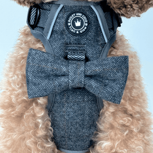 Trail & Glow Tweed Dog Harness - Slate Tweed - Bailey and Coco (UK)