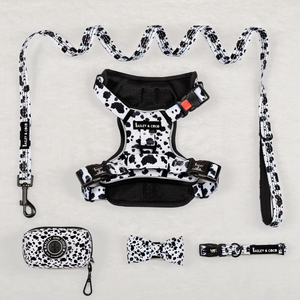 Trail & Glow® Harness Bundle Set - On The Dot.