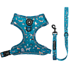 Glow Harness® and Lead Set - A Dog's Tail.